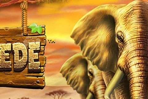 Stampede is an animal-themed online poker machine that BetSoft launched five years ago. Has the game withstood the test of time?