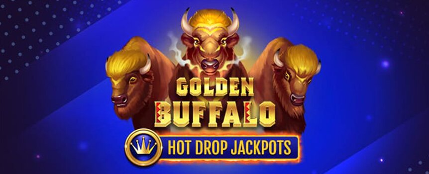 golden buffalo hot drop
